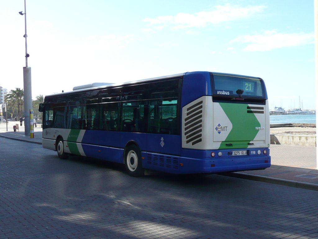 11.01.11,IVECO-Irisbus Citelis der emt Nr.116 an der Playa de Palma/Mallorca.