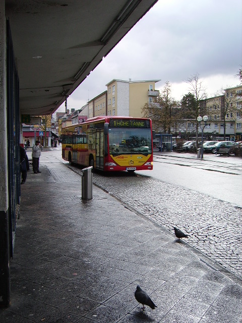 Bus Linie 1 nach Hohe Tanne am Freiheitsplatz in Hanau am 23.02.10