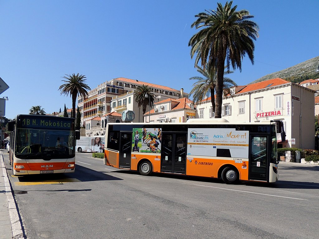 Citybusbetrieb in der Haltestelle Brsalje-ul; Dubrovnik; 130425