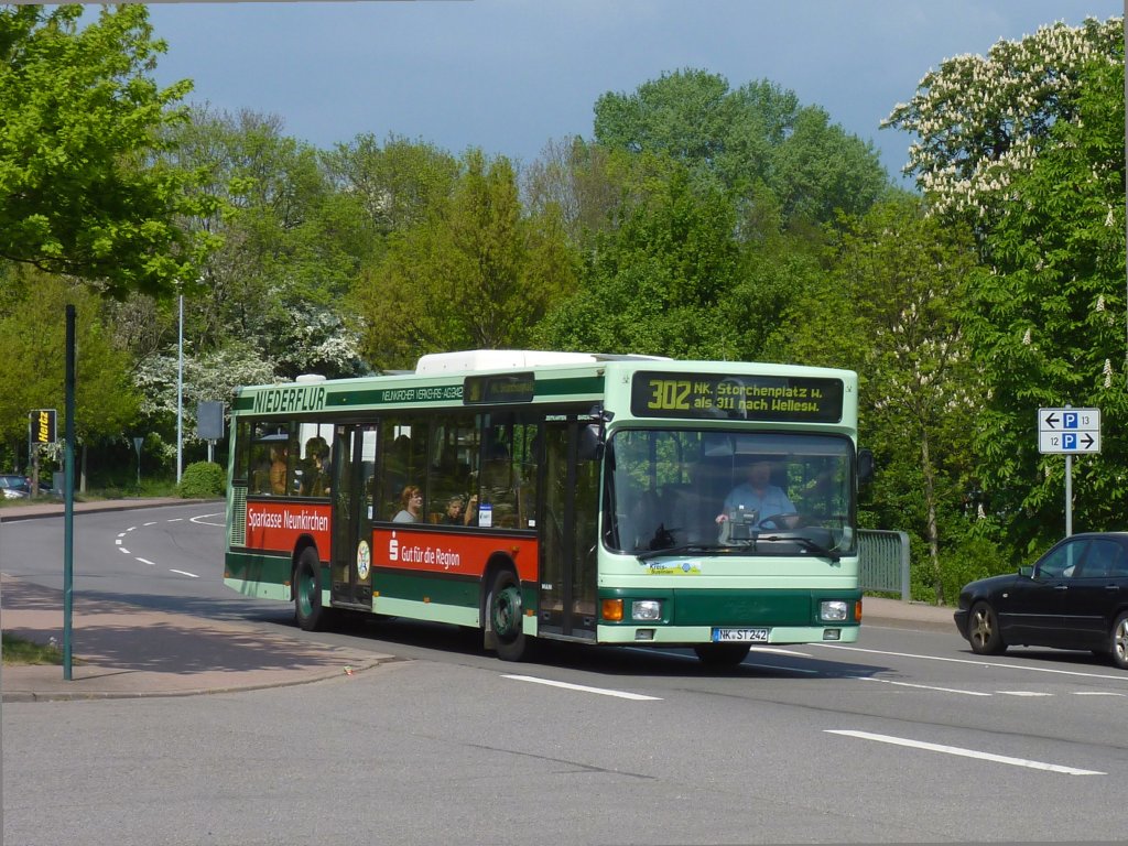 Der derzeit lteste Wagen der NVG, 242, ein NL 202 befuhr am 26.4.11 die Linie 302 Frth Hanauer Mhle - Ottweiler Bhf - Neunkirchen Storchenplatz. (Neunkirchen Spitzbunker)