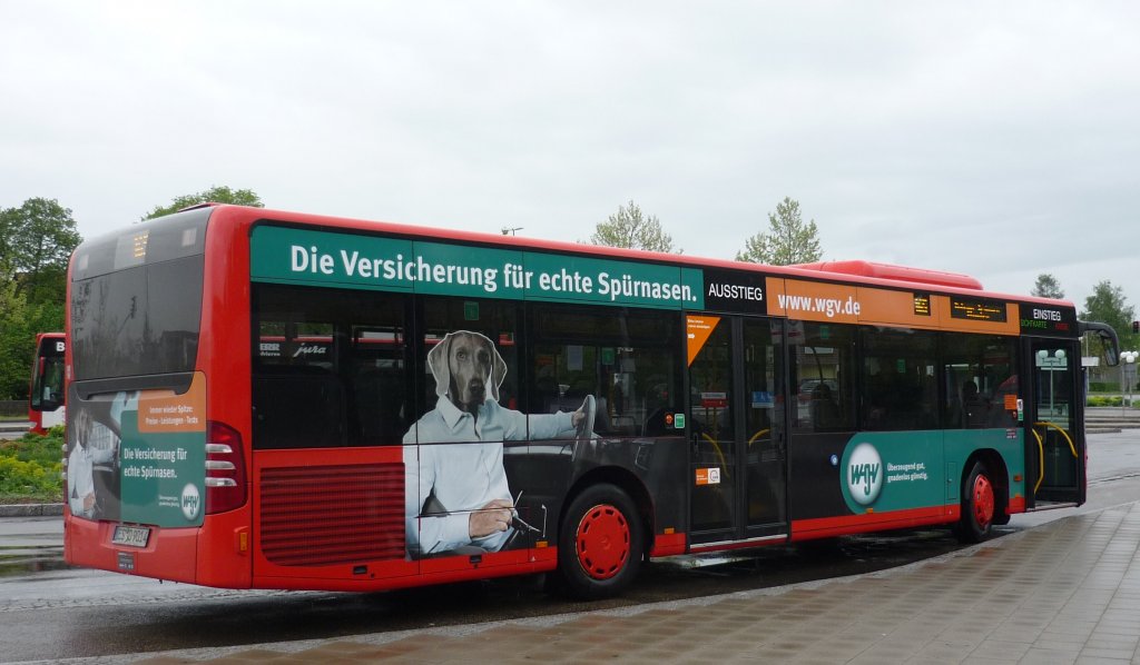 Ein Hundebild auf dem MB-Citaro als Werbung am ZOB in Kirchheim/Teck, der OVK