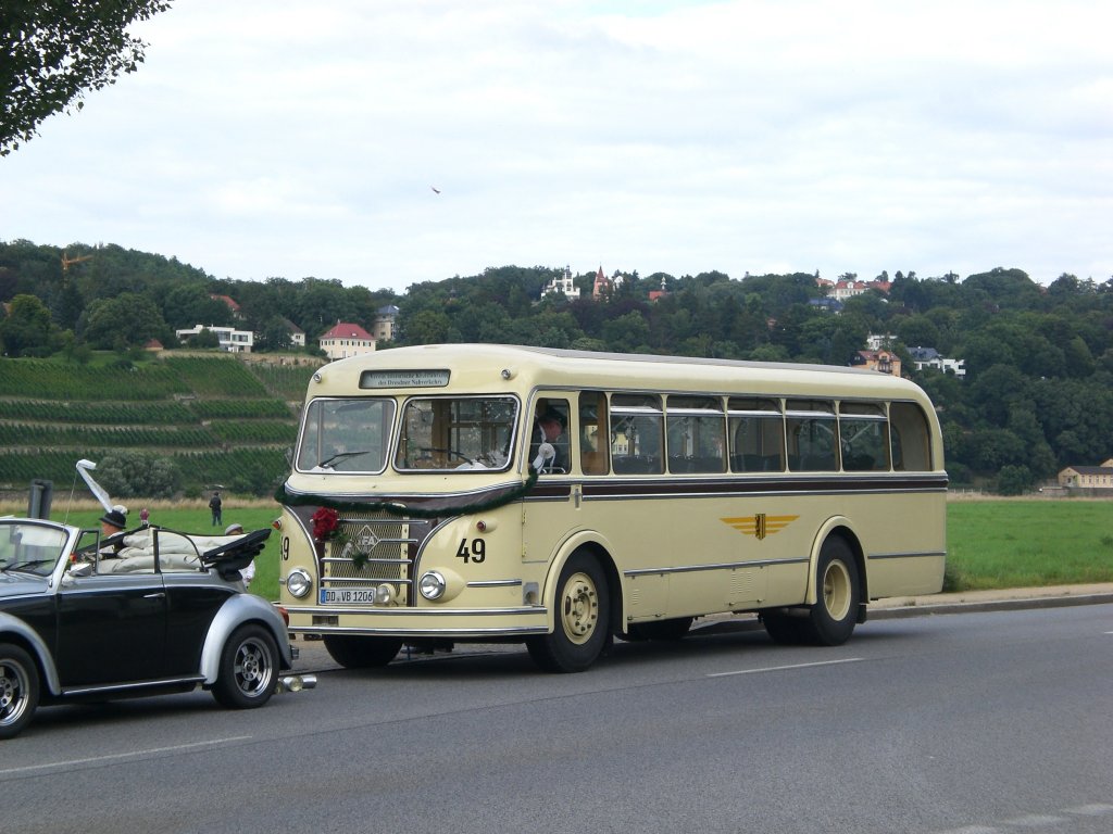 Ein IFA H6B Bus als Sonderfahrt hier am Kthe-Kollwitz-Ufer in Blasewitz.(23.7.2011)