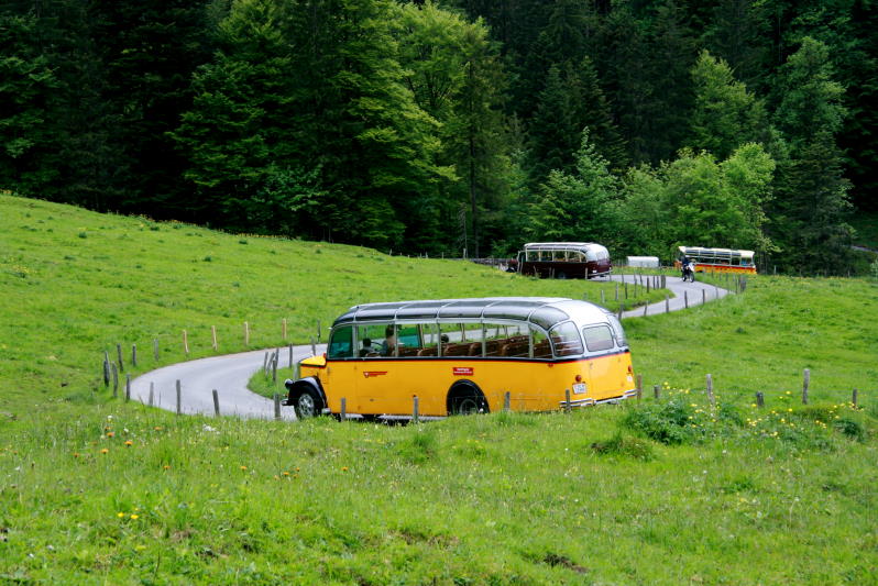 Es war ein schnes Erlebnis wie sich die sechst historischen Postautos mit Fanfarenton das Kietal hinabschlngelten. Dem Saurer OSC 2 folgt ein Saurer Alpenwagen IIIa und der FBW Alpenwagen IIIa; 09.06.2013