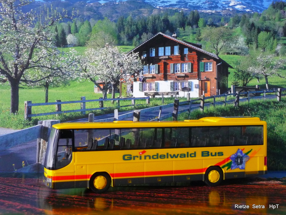 Grindelwald Bus  Setra Modell