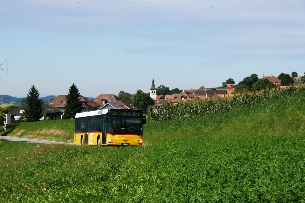 Im Kanton Bern gibt es inzwischen diverse MAN-Standardbusse, die nach Ausschreibungen von Privaten Busbetrieben zur Post gelangten. Einer davon ist Wagen 10 von PU Engeloch, 2001 von der ASKA beschafft und seit 2009 am Lngenberg im Einsatz. Aufnahme am 25.8.2010 oberhalb Reggisberg. 