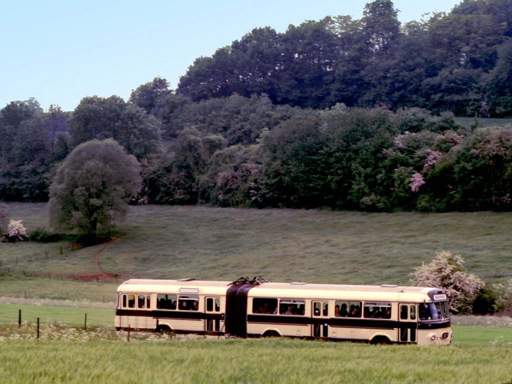Luxemburg, Lamadelaine, Henschel HS 160 USL-G Gelenkbus. Dieser Bus bringt auf schmalen Wegen die Fahrgste der Museumsbahn Fond-de-Gras zum ehemaligen Terminus  Fuussbsch . Scan eines Dias aus dem Jahr 1976.