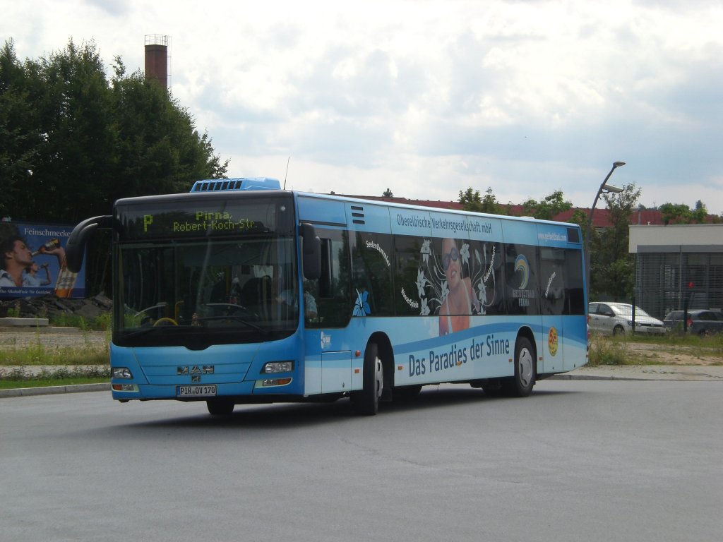 MAN Niederflurbus 3. Generation (Lion's City) auf der Linie P nach Pirna Robert-Koch-Strae am Bahnhof Pirna.(26.7.2011)