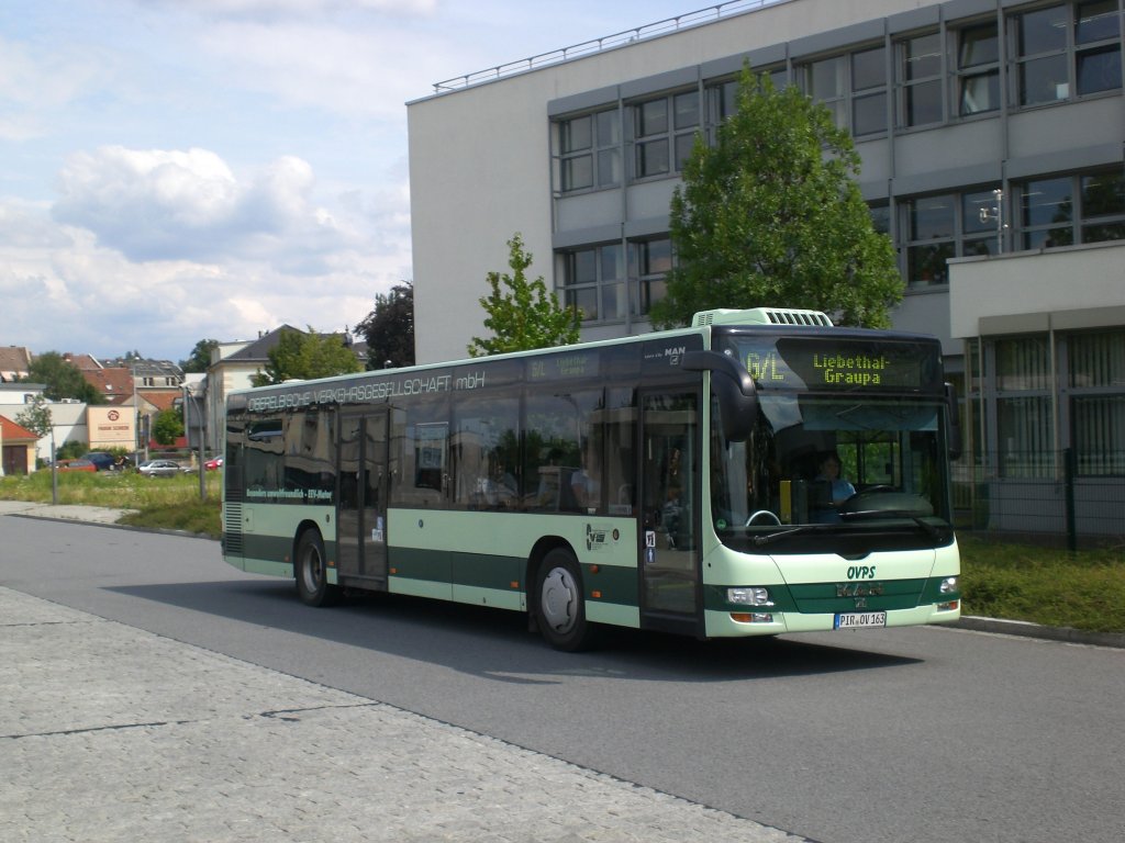MAN Niederflurbus 3. Generation (Lion's City) auf der Linie G/L nach Graupa am Bahnhof Pirna.(26.7.2011)
