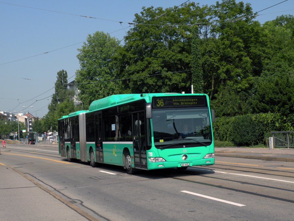 Mercedes Citaro mit der Betriebsnummer 719 auf der Linie 36 an der Haltestelle Zoo Dorenbach. Die Aufnahme stammt vom 28.06.2010.