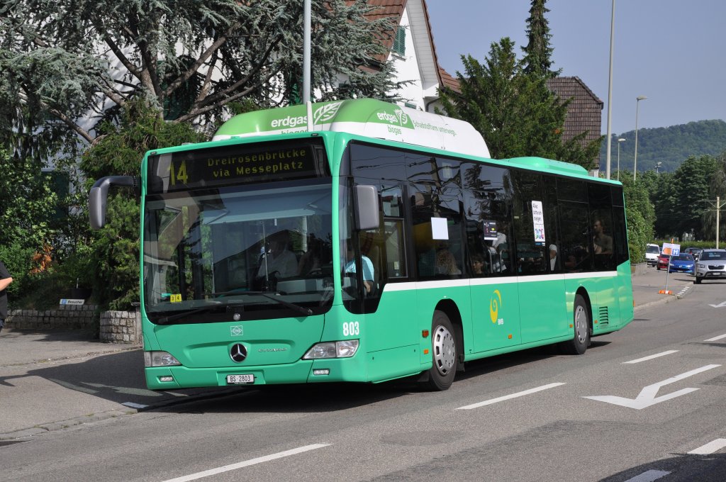 Mercedes Citaro mit der Betriebsnummer 803 an der Haltestelle Kppeli auf der Tramersatzlinie 14. Die Aufnahme stammt vom 29.06.2012.