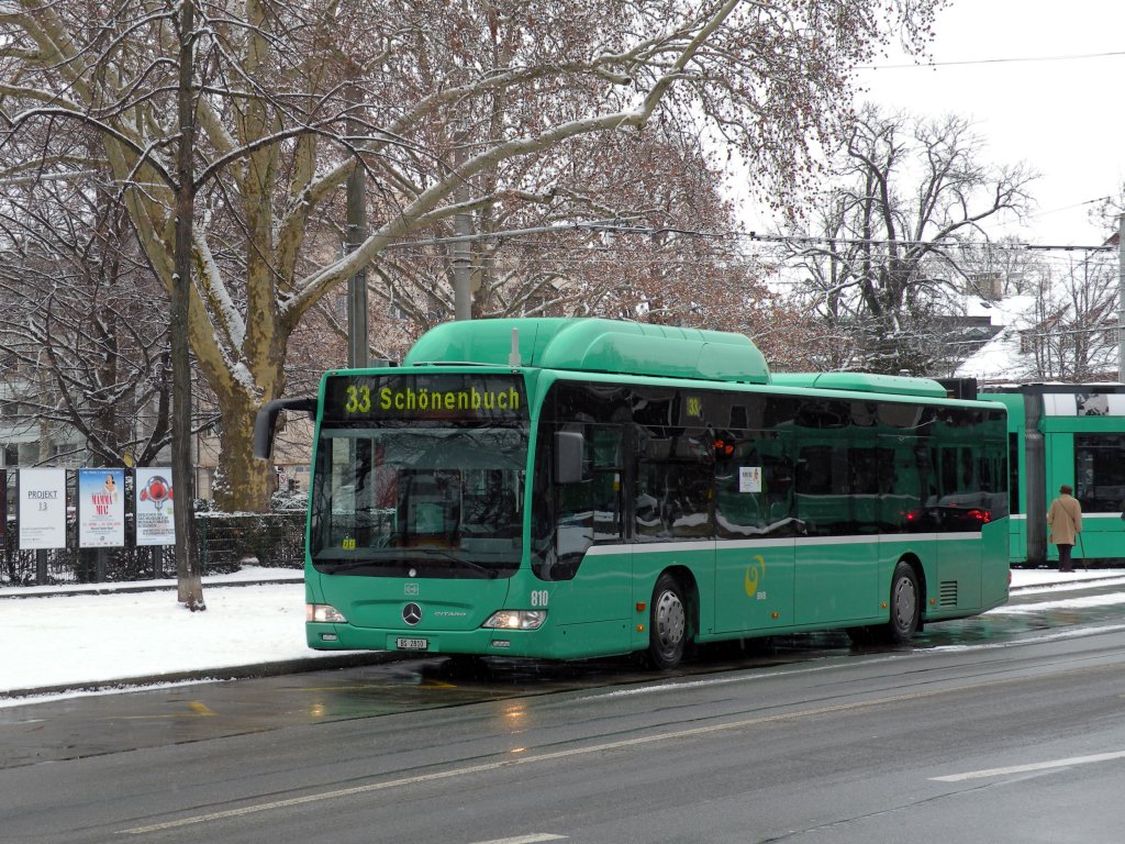 Mercedes Citaro mit der Betriebsnummer 810 bedient die Haltestelle Schtzenhaus. Die Aufnahme stammt vom 31.01.2010.