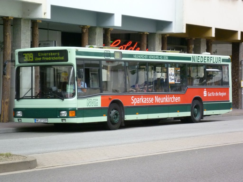 NVG-Wagen 239 befhrt am 26.7.10 die Linie 309 nach Elversberg.