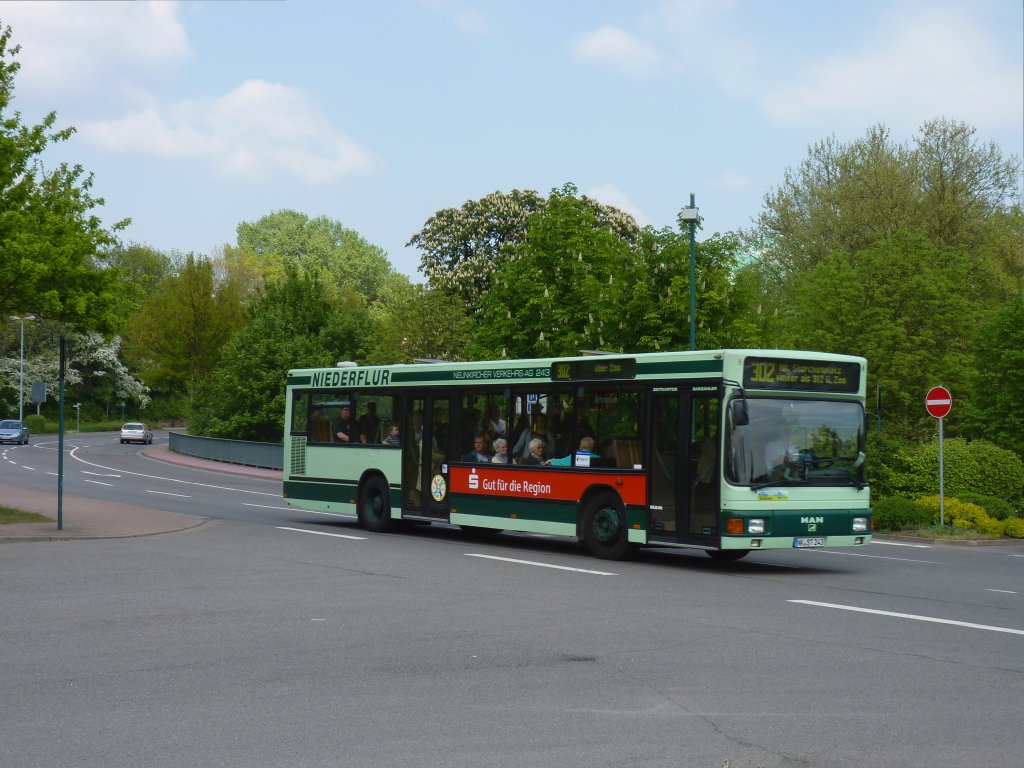 NVG-Wagen 243, einer der ltesten Busse der NVG befuhr am 26.4.11 die Linie 302 Ottweiler Tulpenweg - Neunkirchen Storchenplatz. (Neunkirchen Spitzbunker)