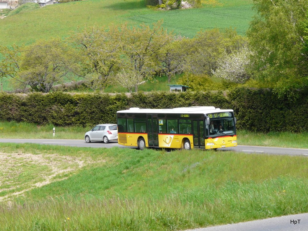 Postauto - Mercedes Citaro VD 570 unterwegs bei Longirod am 19.05.2010