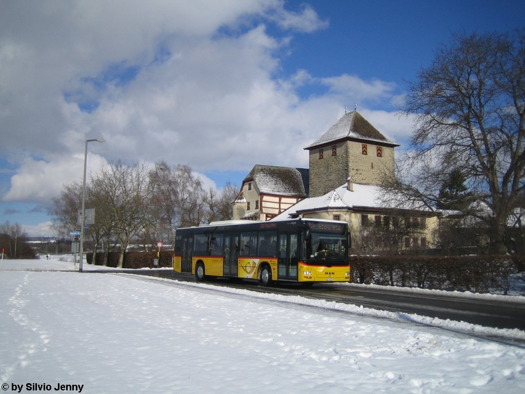 Postauto/PU Steiger Nr. 255 (MAN A21 Lion's City) am 30.1.2010 vor dem Schloss Hegi, dass sich zwischen den Haltestellen Winterthur, Schlossacker und Mhle Hegi befindet. 