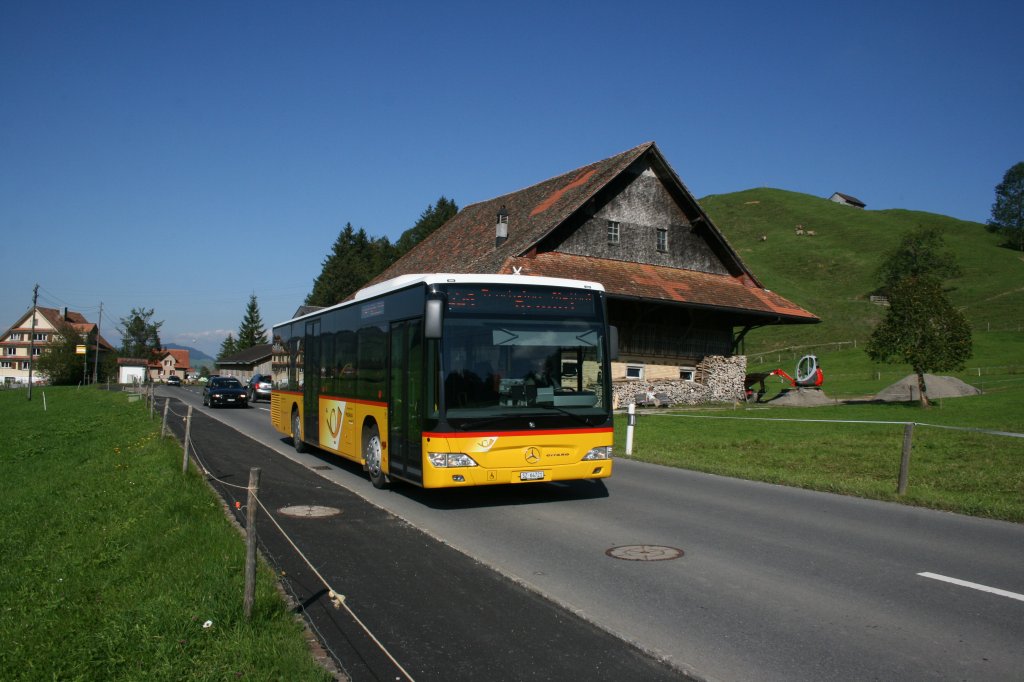 PU Klin, Alpthal, SZ 64'721 (MB Citaro , 2010) am 19.9.2010 unterwegs bei Trachslau. 