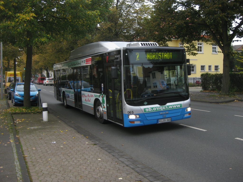 Wagen 065 (HI-SV 365) der Stadtverkehr Hildesheim GmbH mit einer Werbung fr  Rapiro . Hier vor schner Kulisse auf der Strae  Hohnsen .