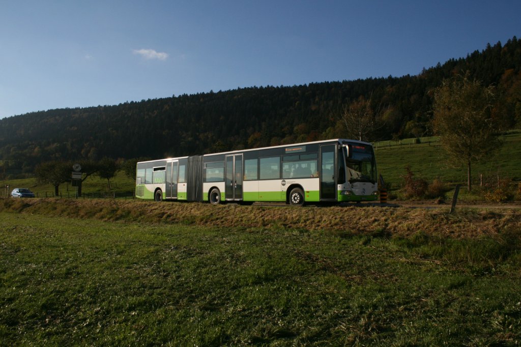 Wagen 227 (2002) wird noch ein oder zwei Jahre berleben und hat deshalb als erster alter TRN-Bus im Val-de-Ruz das neue Design erhalten. Das Bild zeigt den Wagen am 21.10.2010 bei Dombresson, unterwegs nach Villiers. 