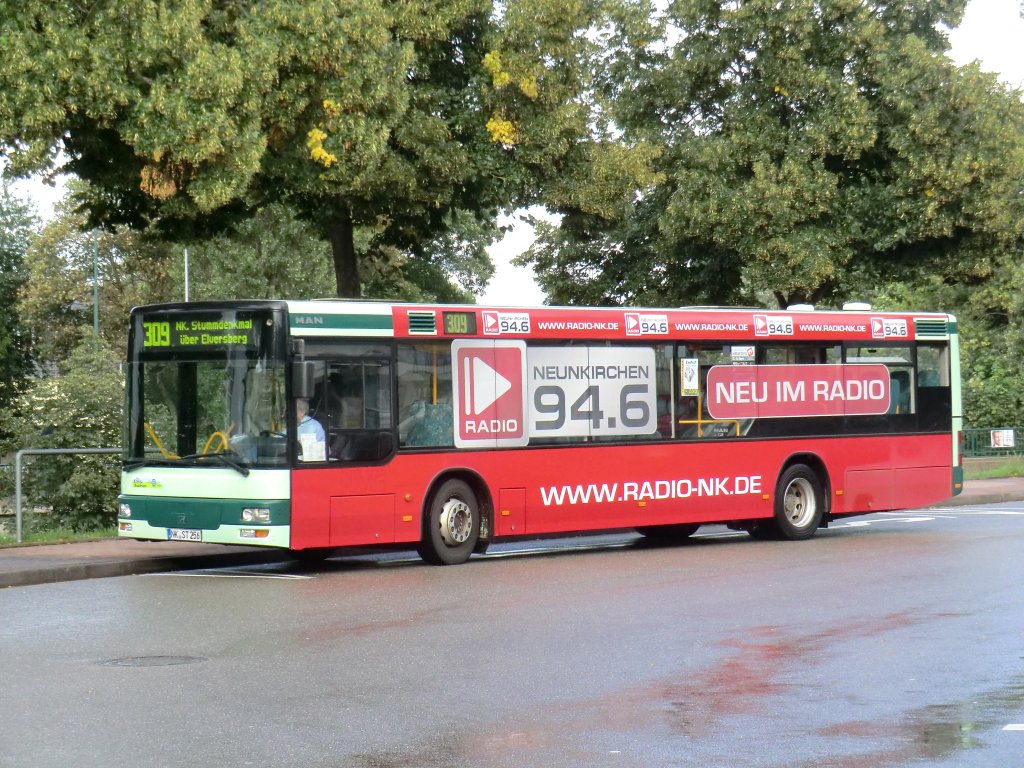 Wagen 256 der NVG bedient am 30.8.10 die Linie 309 in der Lindenallee.