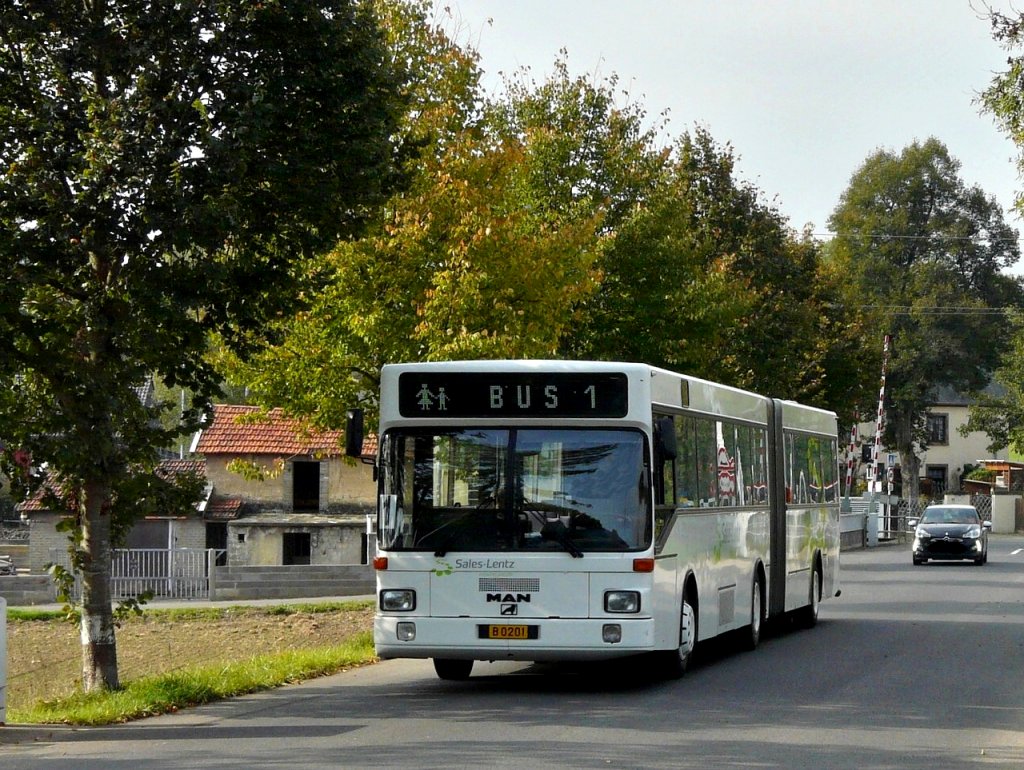 Zum Schlertransport wurde dieser MAN Gelenkbuss am 17.10.2011 eingesetzt. Aufgenommen in der Nhe von Moesdorf.