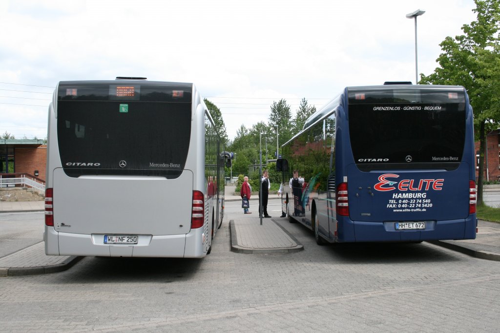Zwei Citaro LE`s einmal rechts der 13m lange LE M der Elite Traffic aus Hamburg und einmal links der 12m lange LE der Firma Wencke aus Marschacht am 26.Mai 2010 am Bf.Schwarzenbek.