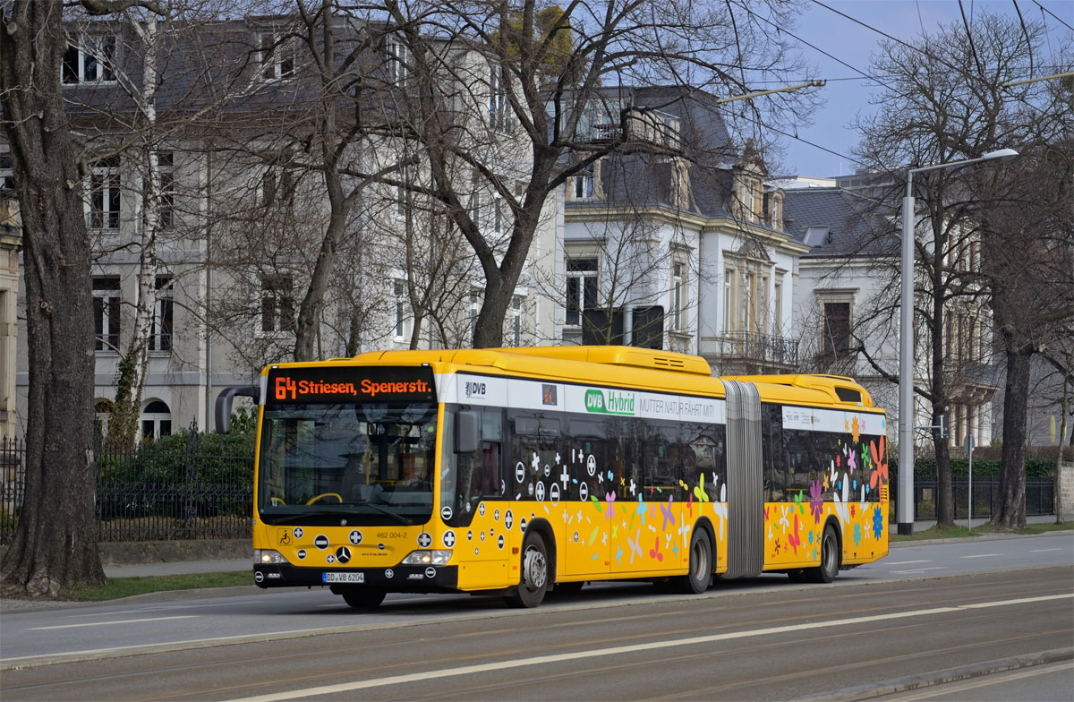  Mercedes Citaro G Hybrid  462 003  als Linie 64 in der Bautzner Straße, 24.03.2015