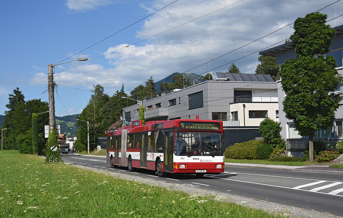  Obus Salzburg Gräf & Stift NGT 247 M 16 Wagen 247 als Linie 5 in der Berchtesgadner Straße, 06.07.2017. 