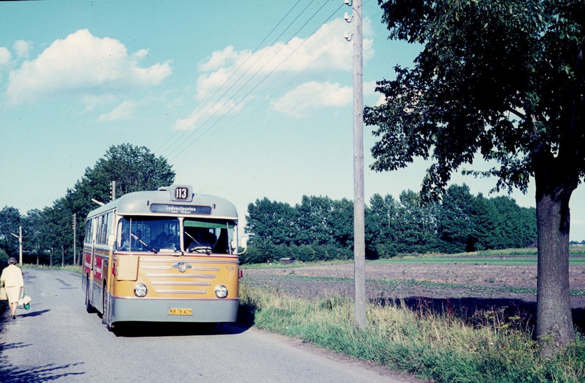 AB (Amagerbanens Omnibusruter) Buslinie 113 (Leyland/DAB LCRT 1/1, 1963 - KB 78.429) fährt am 15. August 1970 auf der Landstrasse (Tømmerupvej) zwischen Tømmerup und Ullerup.
