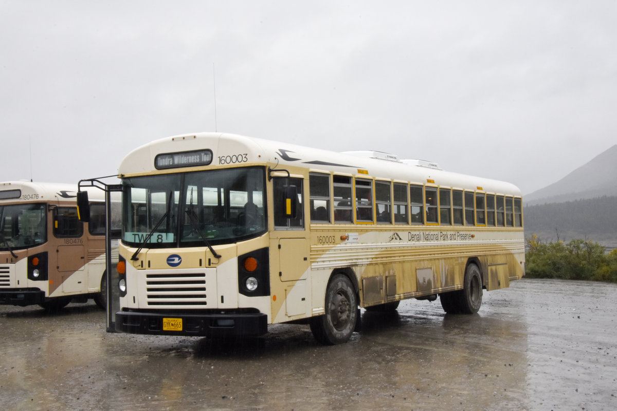 Blue Bird Autobus 160 003 auf einem Rastplatz im Denali Nationalpark. Die Aufnahme stammt vom 15.08.2019.