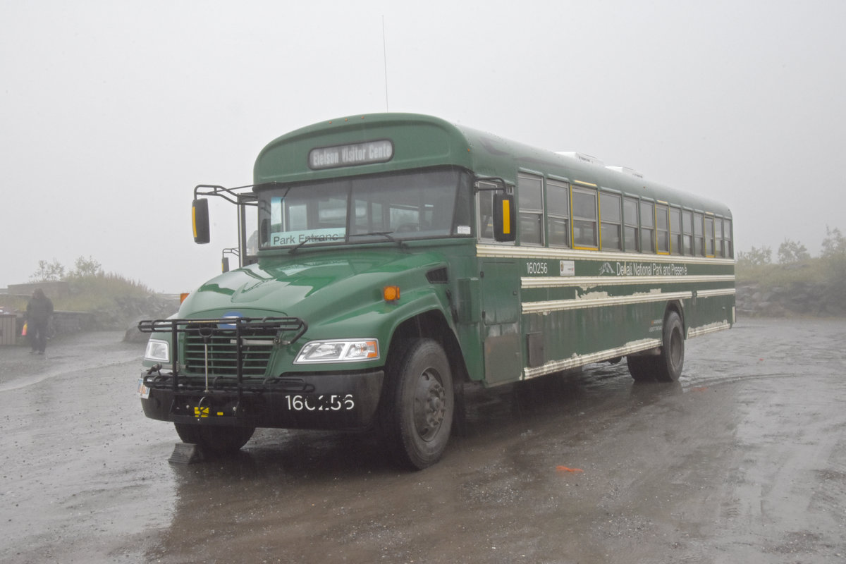 Blue Bird Autobus 160 256 auf einem Rastplatz im Denali Nationalpark. Die Aufnahme stammt vom 15.08.2019.