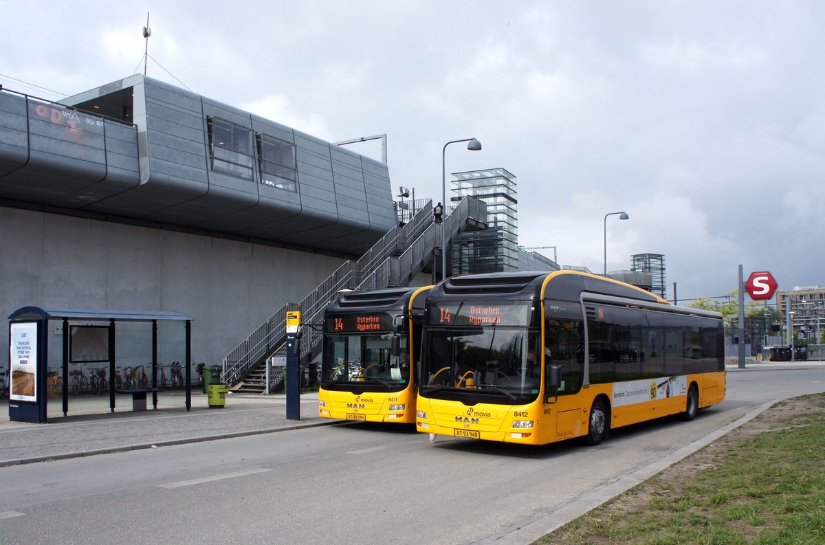 Bus Dänemark / Region Seeland / Region Sjælland: MAN Lion's City Hybrid - Wagen 8411 sowie Wagen 8412 von Trafikselskabet Movia (Eigentümer Fahrzeug: Keolis Danmark A/S), aufgenommen im Mai 2016 an der S-Bahn - Station Ny Ellebjerg in Kopenhagen.