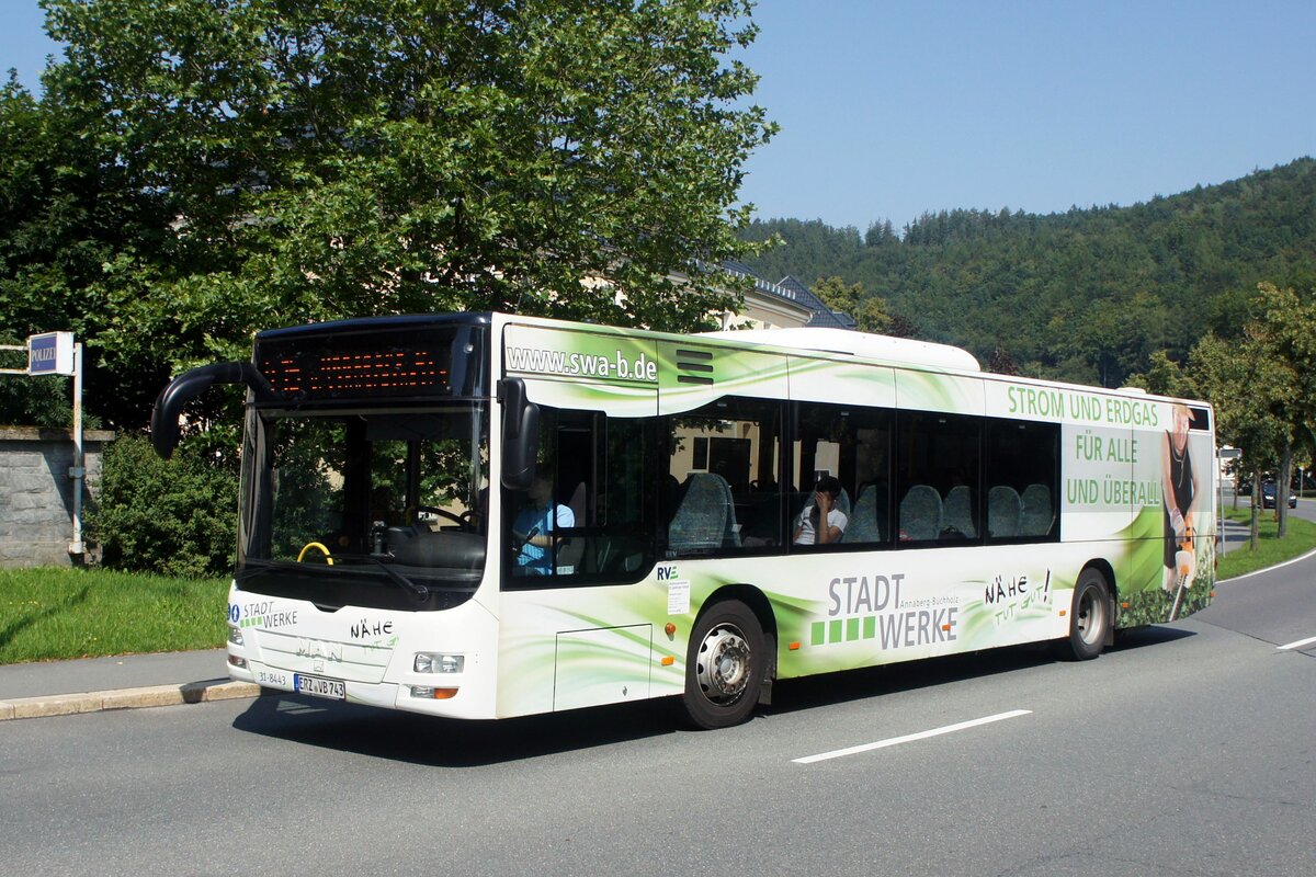 Bus Schwarzenberg / Bus Erzgebirge: MAN Lion's City Ü (ERZ-VB 743) der RVE (Regionalverkehr Erzgebirge GmbH), aufgenommen im August 2023 im Stadtgebiet von Schwarzenberg / Erzgebirge.