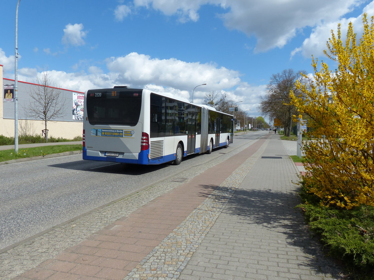 BVSG - mit dem MB Citaro G,  P-AV 520 auf der Linie X1. Busse in Teltow-Stadt im April 2016.