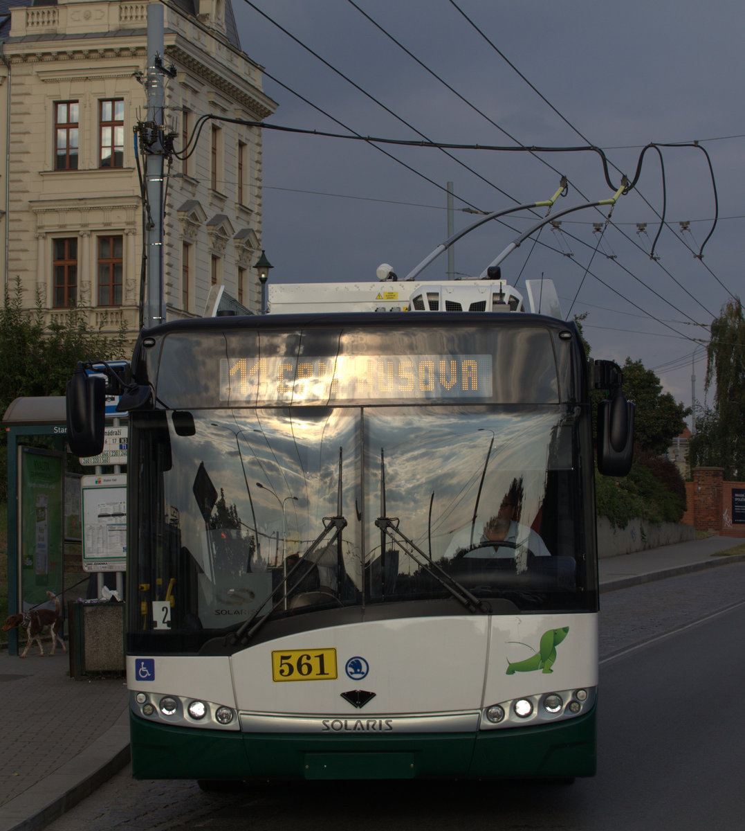 Ein Skoda Solaris der Linie 11 mit der Nummer 561 an der Haltestellen Pilsen Hbf.
Interessant: Die O-Busse haben keine polizeilichen Kennzeichen. 23.09.2016  16:49 Uhr.