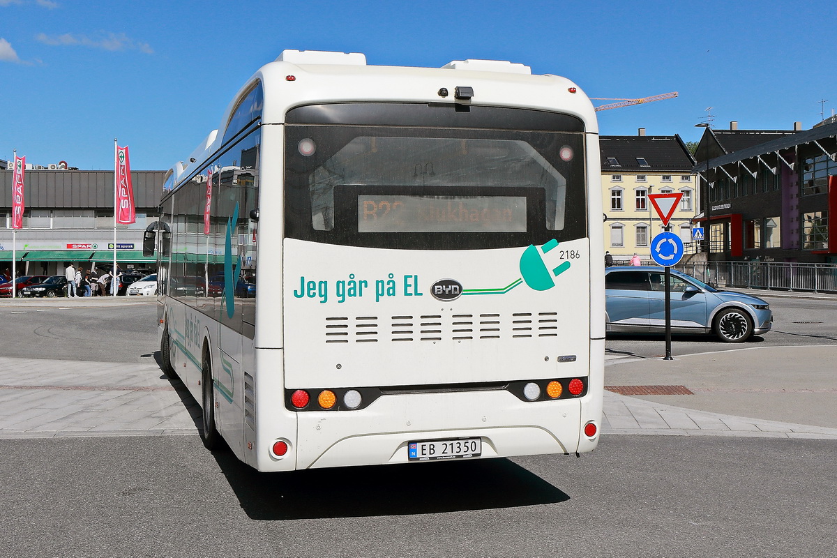 Heckpartie eines Stadtbus BYD in Hamar (Norwegen) am 18. Juni 2022.