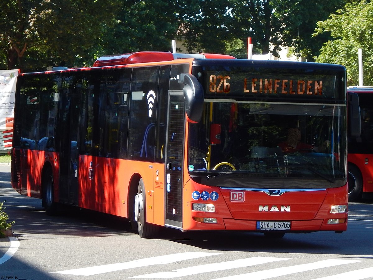 MAN Lion's City von Friedrich Müller Omnibusunternehmen aus Deutschland in Tübingen am 20.06.2018