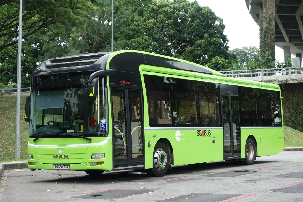 MAN Lion's City  SG Bus , Singapur Januar 2017