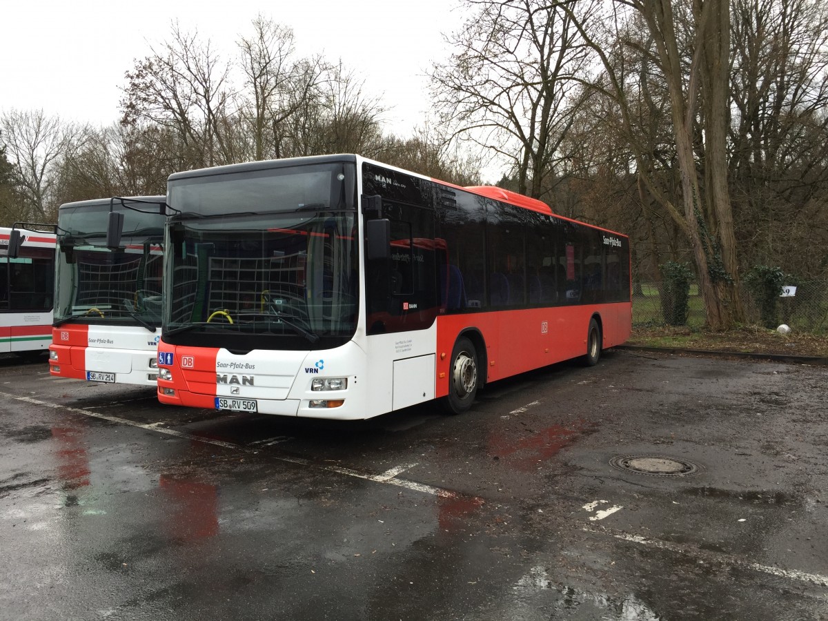 MAN Lion's City Ü von Saar-Pfalz-Bus (SB-RV 509), Baujahr 2010. Aufgenommen am 15.01.2015.