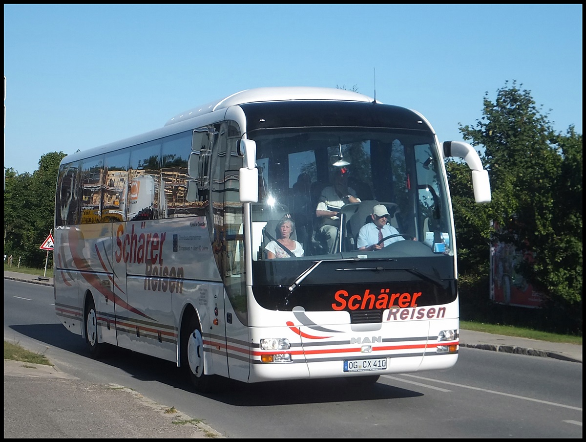 MAN Lion's Coach von Schrer Reisen aus Deutschland in Sassnitz am 25.08.2013