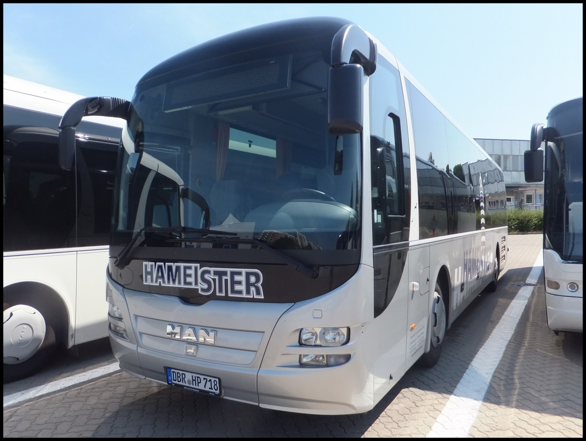 MAN Lion's Regio von Hameister aus Deutschland in Rostock am 08.07.2013 