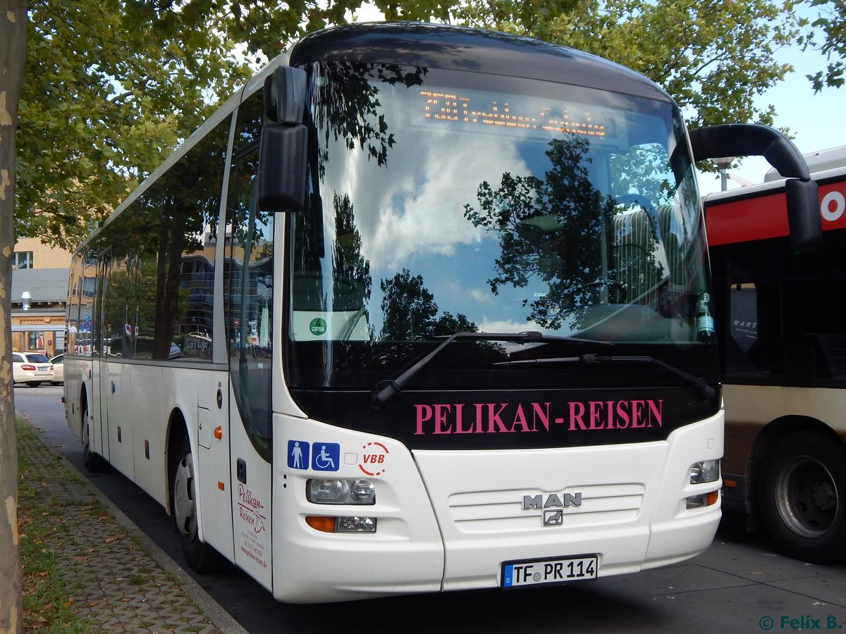 MAN Lion's Regio von Pelikan-Reisen aus Deutschland in Potsdamam 24.08.2015