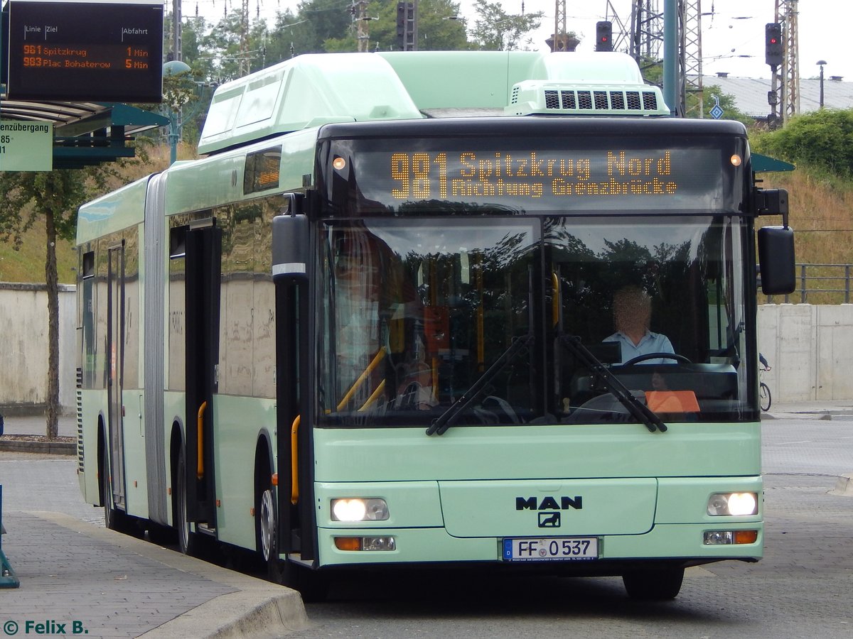 MAN Niederflurbus 2. Generation CNG der Stadtverkehrsgesellschaft mbH Frankfurt Oder in Frankfurt am 09.06.2016