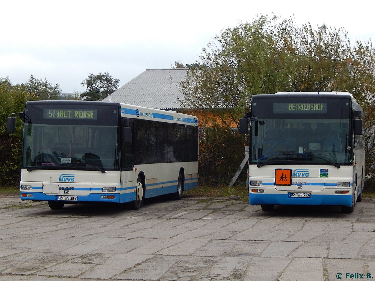 MAN Niederflurbus 2. Generation und MAN SÜ 283 der MVVG in Neubrandenburg am 11.10.2016