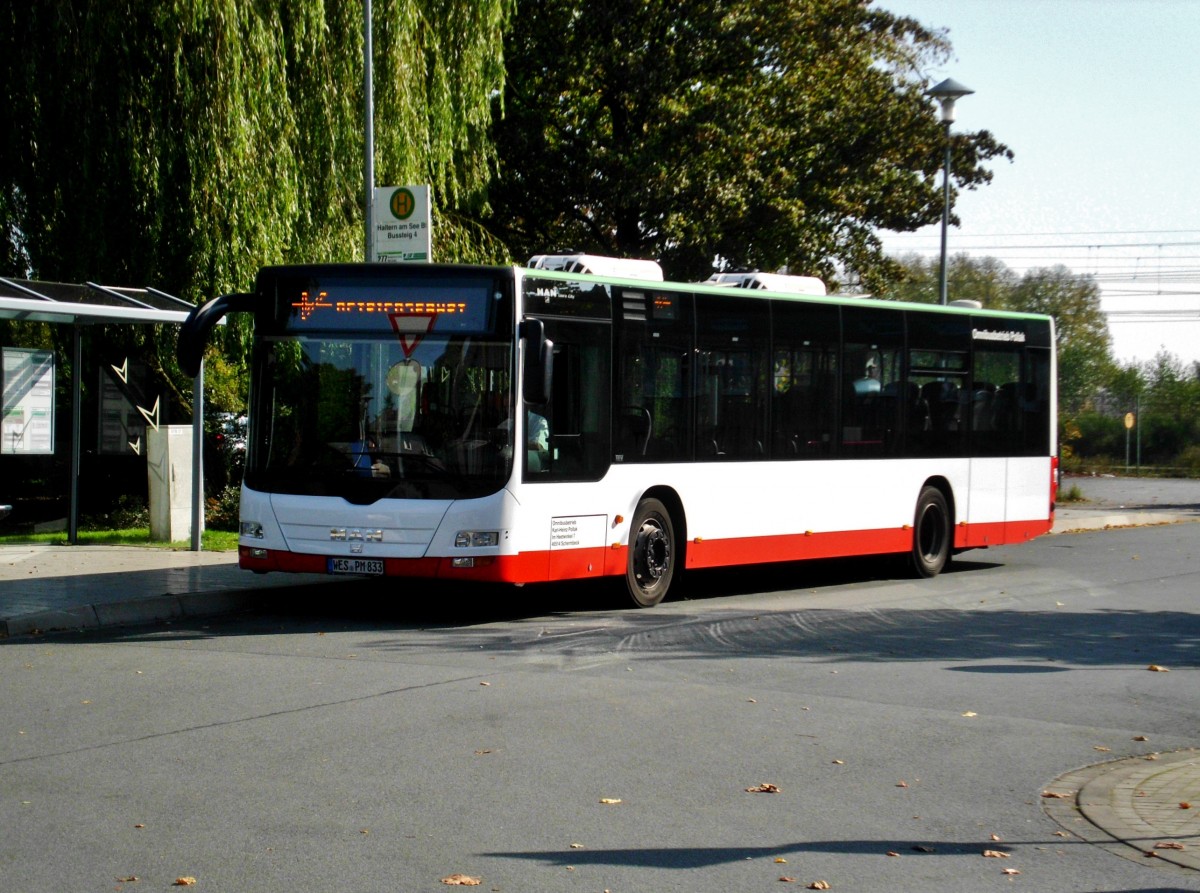 MAN Niederflurbus 3. Generation (Lion's City) auf der Linie 271 nach Haltern am See Völklingenstraße am S-Bahnhof Haltern am See.(4.10.2014)
