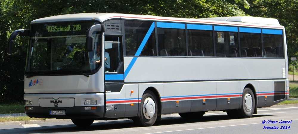 MAN ÜL 313, Wagennummer 310, der Uckermärkischen Verkehrsgesellschaft mbH, 2014 in Prenzlau.