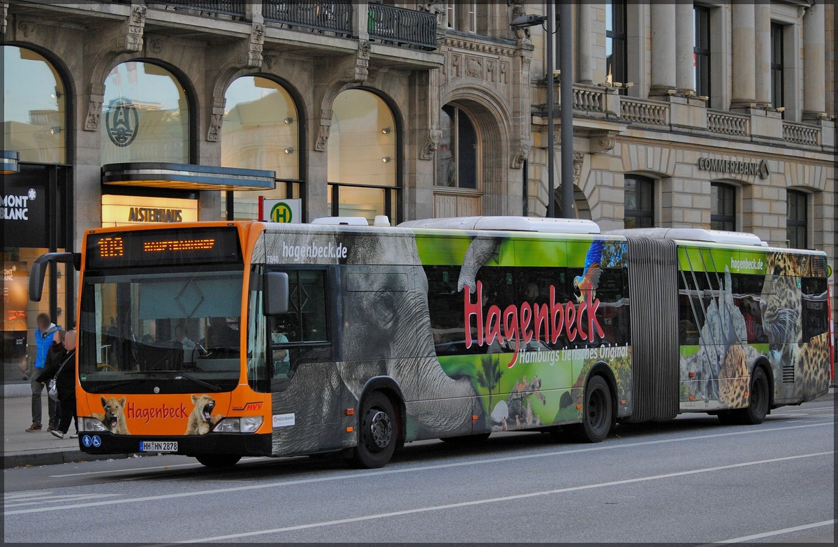 Mercedes Benz Gelenkbus der Hochbahn Hamburg mit Werbung fr den Hagenbeck Tierpark, aufgenommen am 17.09.2013 nahe der Haltestelle Jungfernstieg. 