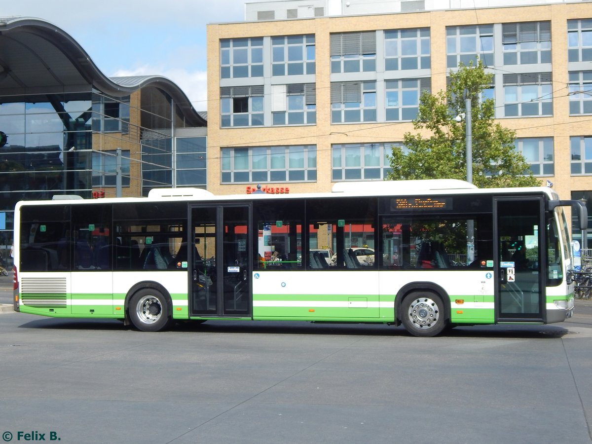 Mercedes Citaro III der Verkehrsgesellschaft Belzig mbH in Potsdam am 24.08.2015