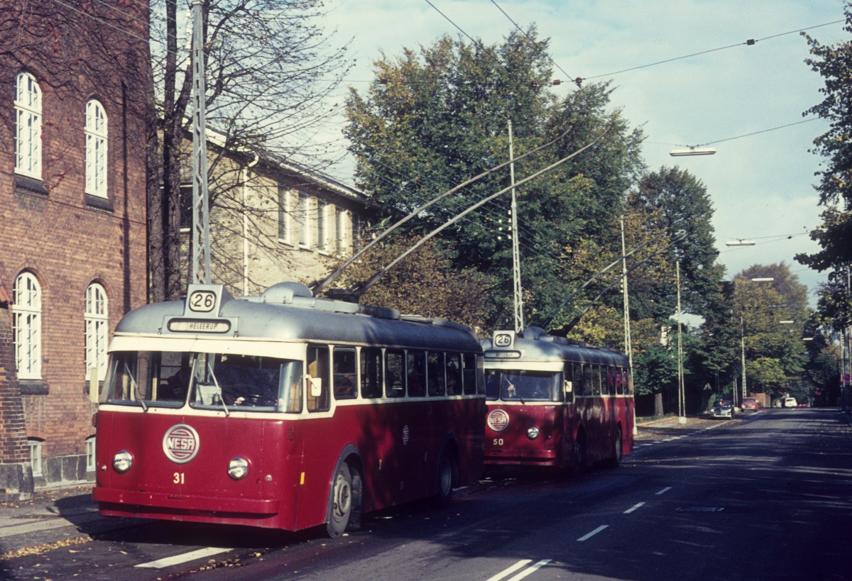 NESA: Die Trolleybusse 31 und 50 halten am 10. Oktober 1971 in der Svanemøllevej in Hellerup. - An diesem Tag kurz vor der Einstellung des Trolleybusbetriebes machten Mitglieder der Dänischen Gesellschaft für Strassenbahngeschichte, Sporvejshistorisk Selskab, eine Sonderfahrt mit den beiden Obussen. 