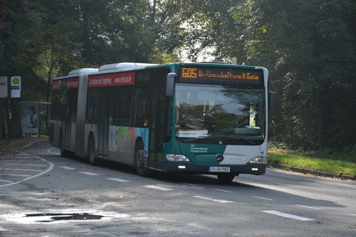P-AV 983 fährt am 18.10.2014 auf der Linie 605 nach Potsdam Golm. Aufgenommen wurde Mercedes Benz O530, Potsdam Neues Palais.
