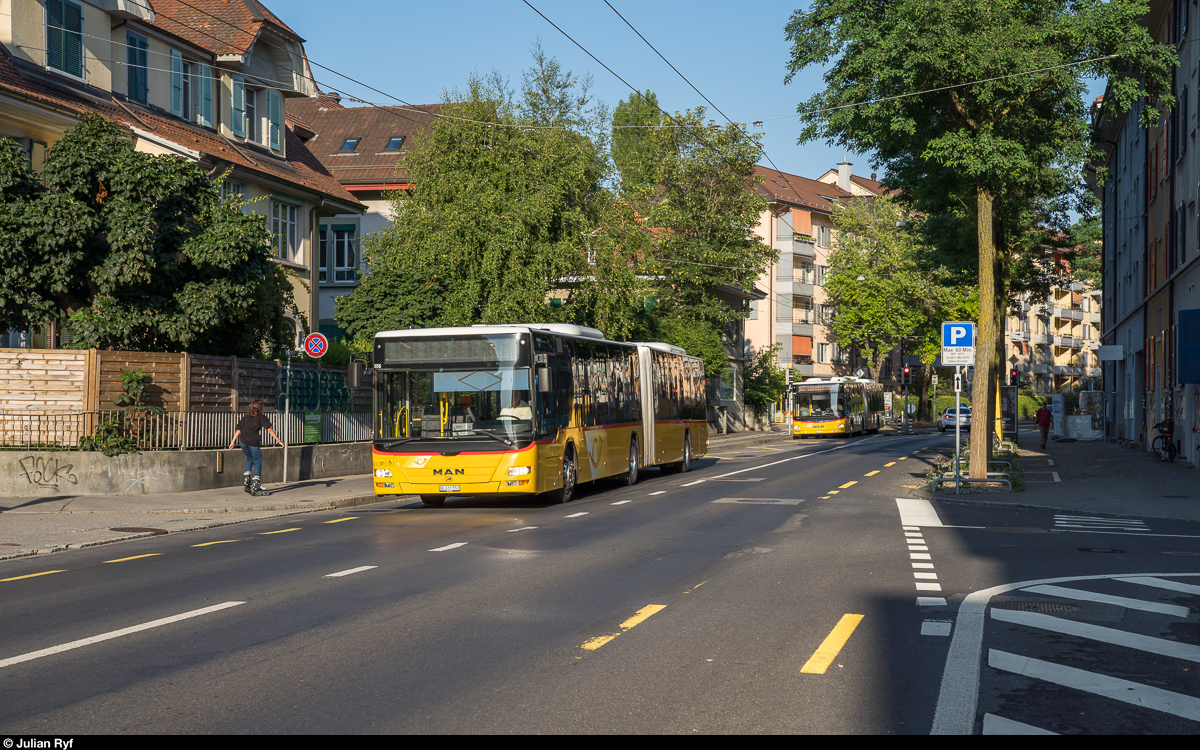 Postauto Bern MAN Lion's City an der Haltestelle Unitobler stadtauswärts am 6. Juli 2019.